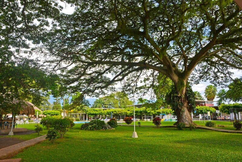 convenios - club campestre palmira