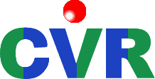 CENTRO VALDOSTANO REVISIONI - LOGO
