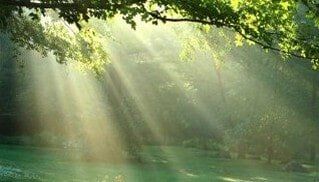 Sun on Landscaping - Naturopathic Remedies Sun on Landscaping - Naturopathic Remedies