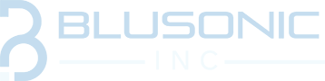 bluesonic Inc bluesonic Inc