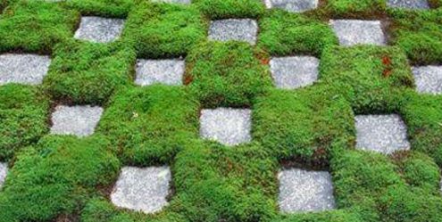 Landscaping experts gave a unique garden style to a property in Warkworth