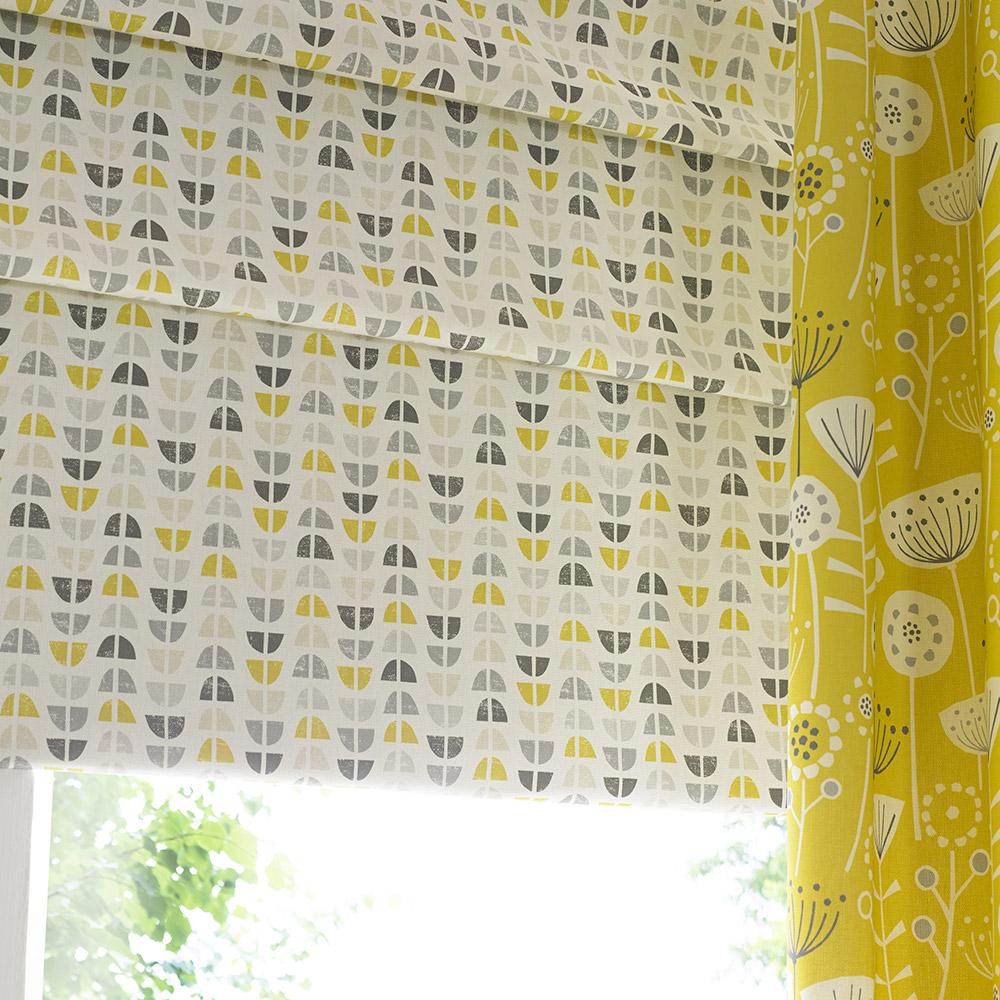 Roman blinds 1