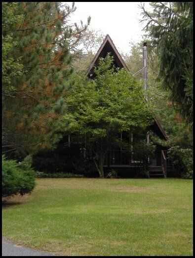 Landscaping View - Greystone Kennel - Rehoboth MA
