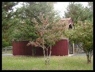 View of Grounds - Greystone Kennel - Rehoboth MA