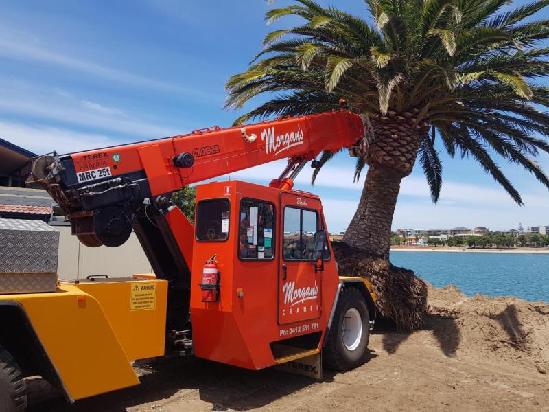 Franna Crane Hire Adelaid Tree Removal