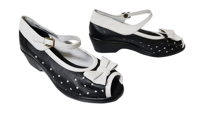 Ladies dance shoes named Wendy.