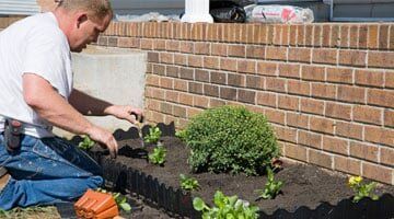Man planting in garden - Lawn Service in Jackson, NJ Man planting in garden - Lawn Service in Jackson, NJ