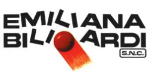 Logo per Emiliana Biliardi, azienda produttrice di biliardi, con testo in nero e una palla da biliardo rossa con effetto fiamma.