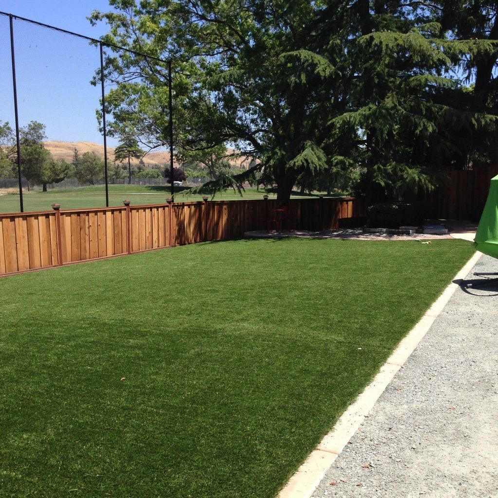 House Backyard