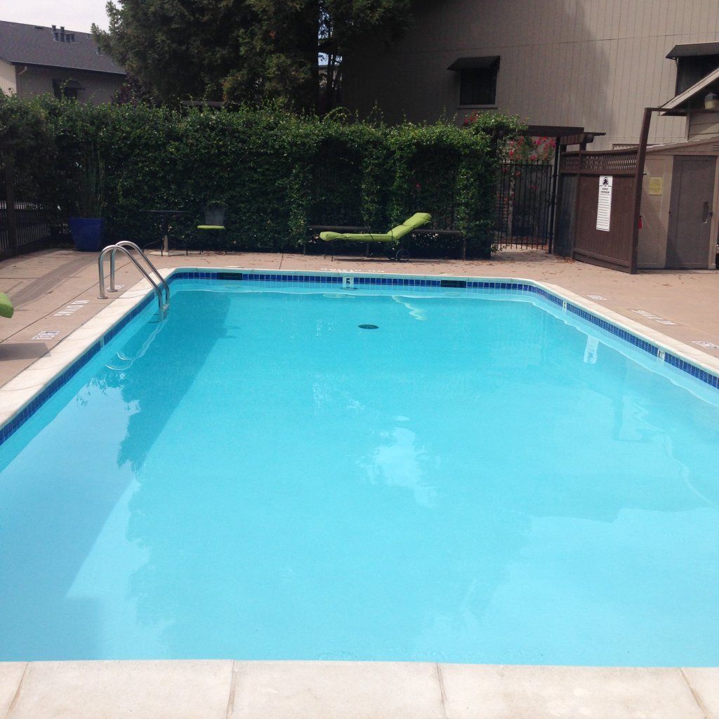 Pool In Backyard
