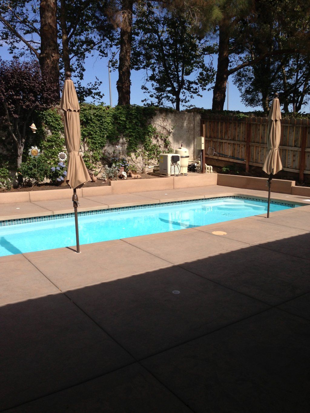 Swimming Pool In Backyard