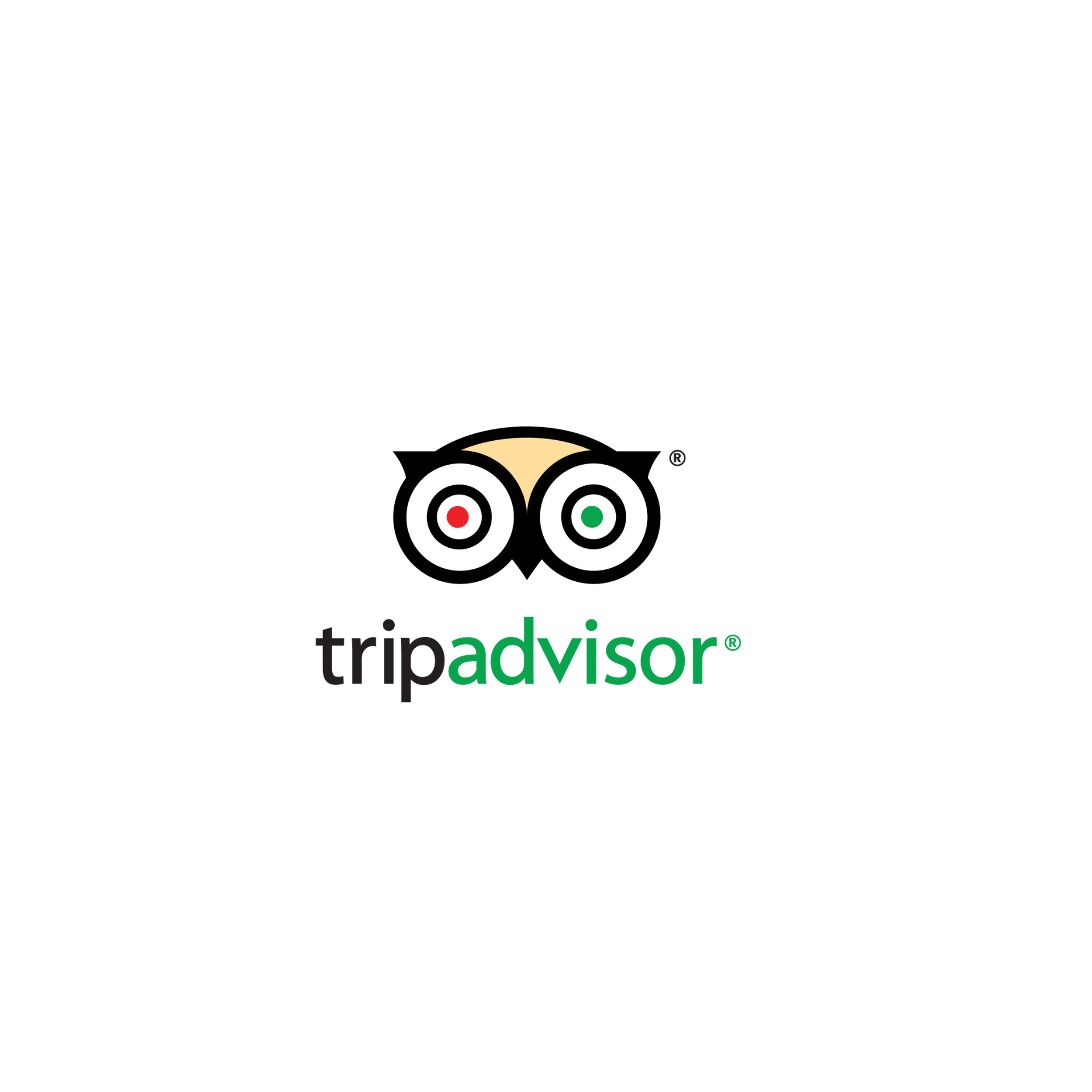 A tripadvisor logo with an owl on it on a white background.