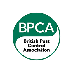 VectaShield Isle of Wight becomes a British Pest Control Association Member