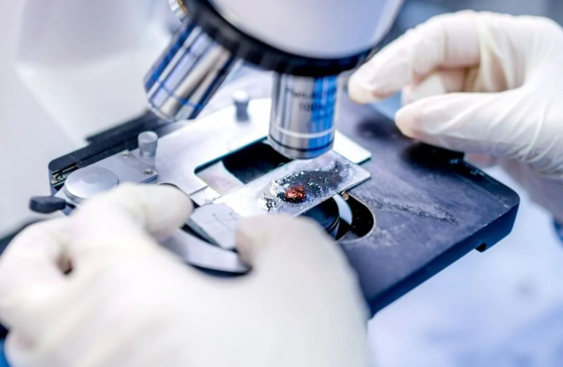 Analisi al microscopio