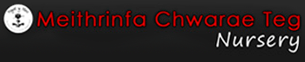 Meithrinfa Chwarae Teg nursery Logo