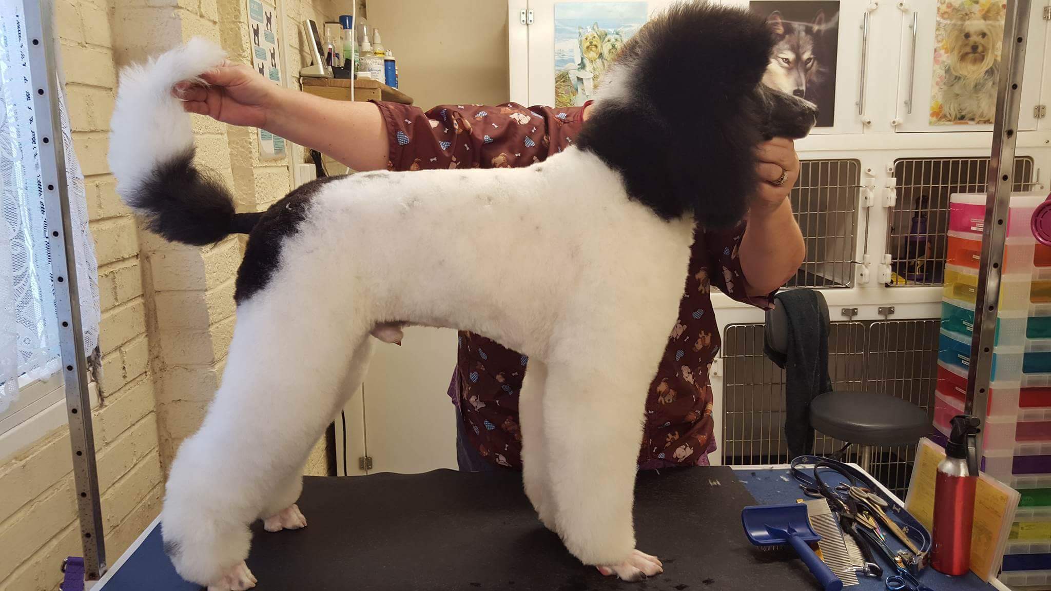 MILLION HAIRS