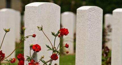 Red flowers by headstones red flowers by headstones