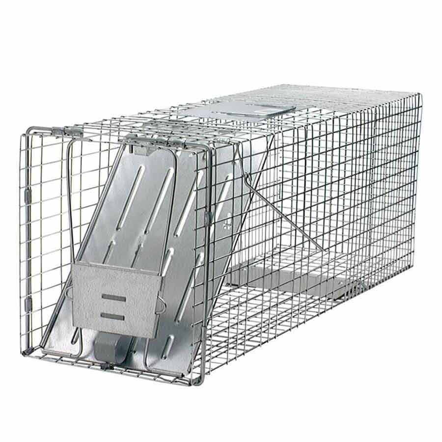Rental Trap Rental Trap