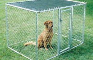 Dog inside kennel — Stock Tanks in Yorba Linda, CA Dog inside kennel — Stock Tanks in Yorba Linda, CA