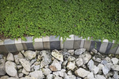 Professional Landscaping — Installing Patios in Bellingham, WA