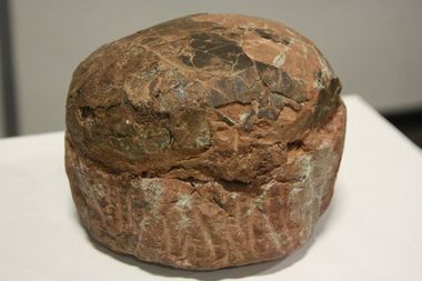 Dinosaur Egg