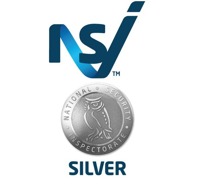 NSI Gold logo