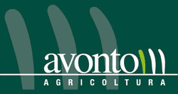 Avonto - LOGO