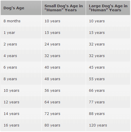 Dog's Age — Veterinarian in Marion, IA
