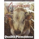 Primo piano di una mucca marrone e bianca in un recinto, raffigurata sulla copertina della rivista L'Allevatore con la scritta Qualità Piemontese.