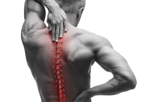 Human back with highlighted spine and hand pressing the neck in grayscale medical illustration