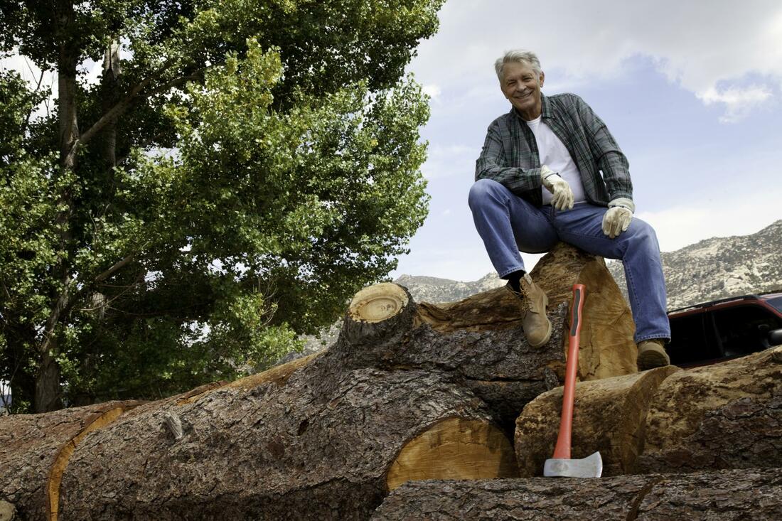 tree company