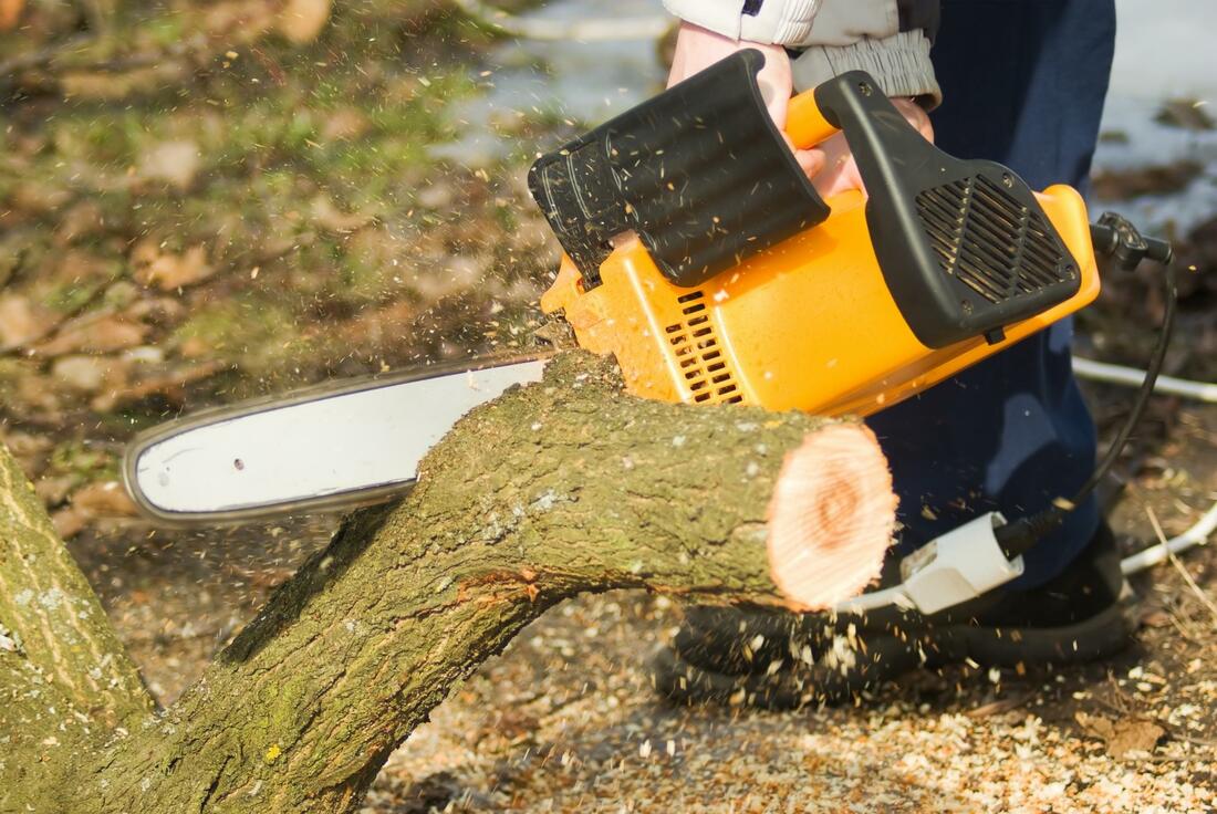 tree removal