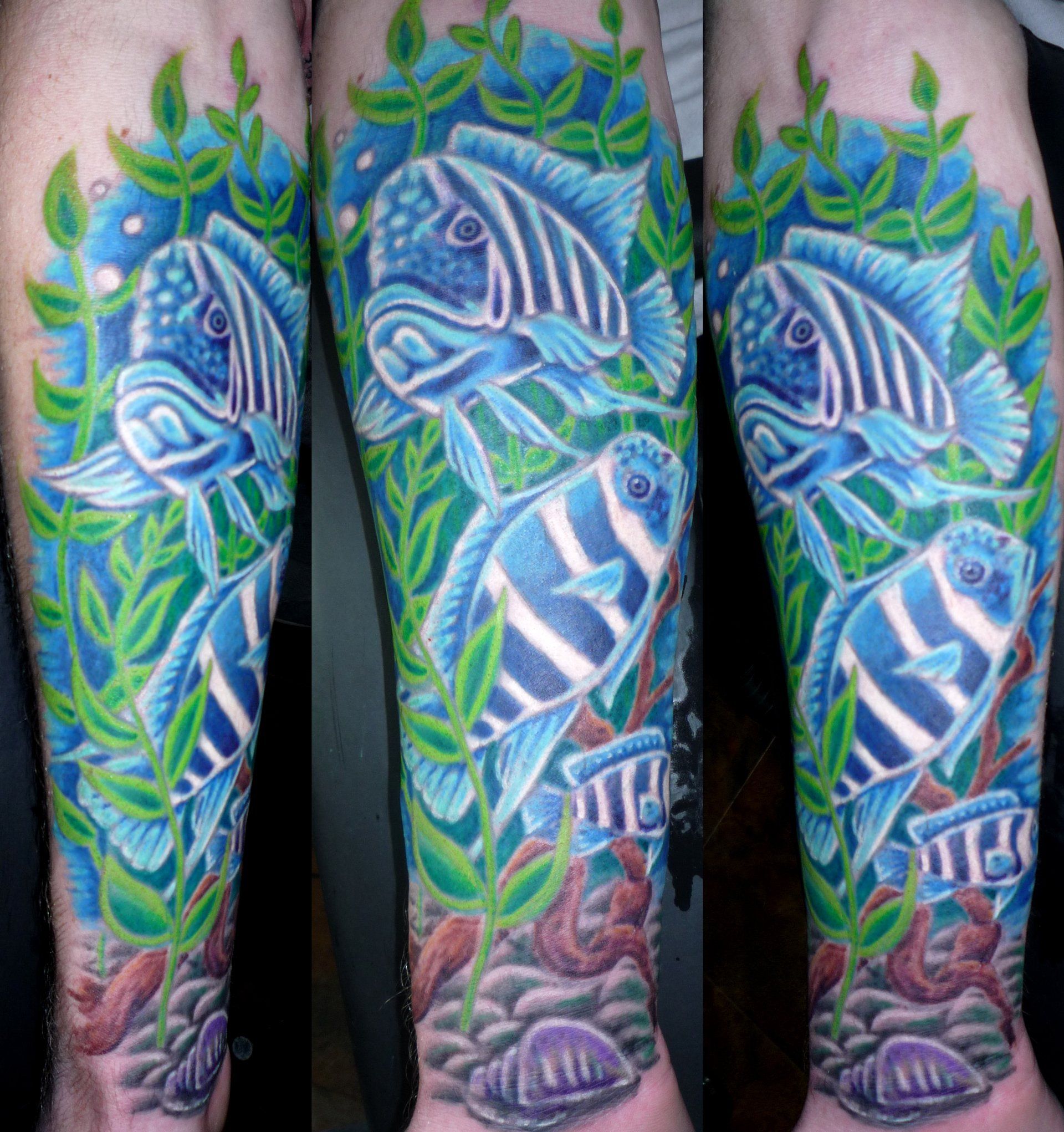 Fish tattoo