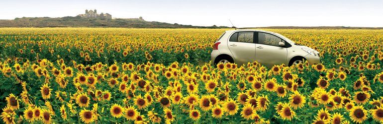 Cabin Air Filter Flowers
