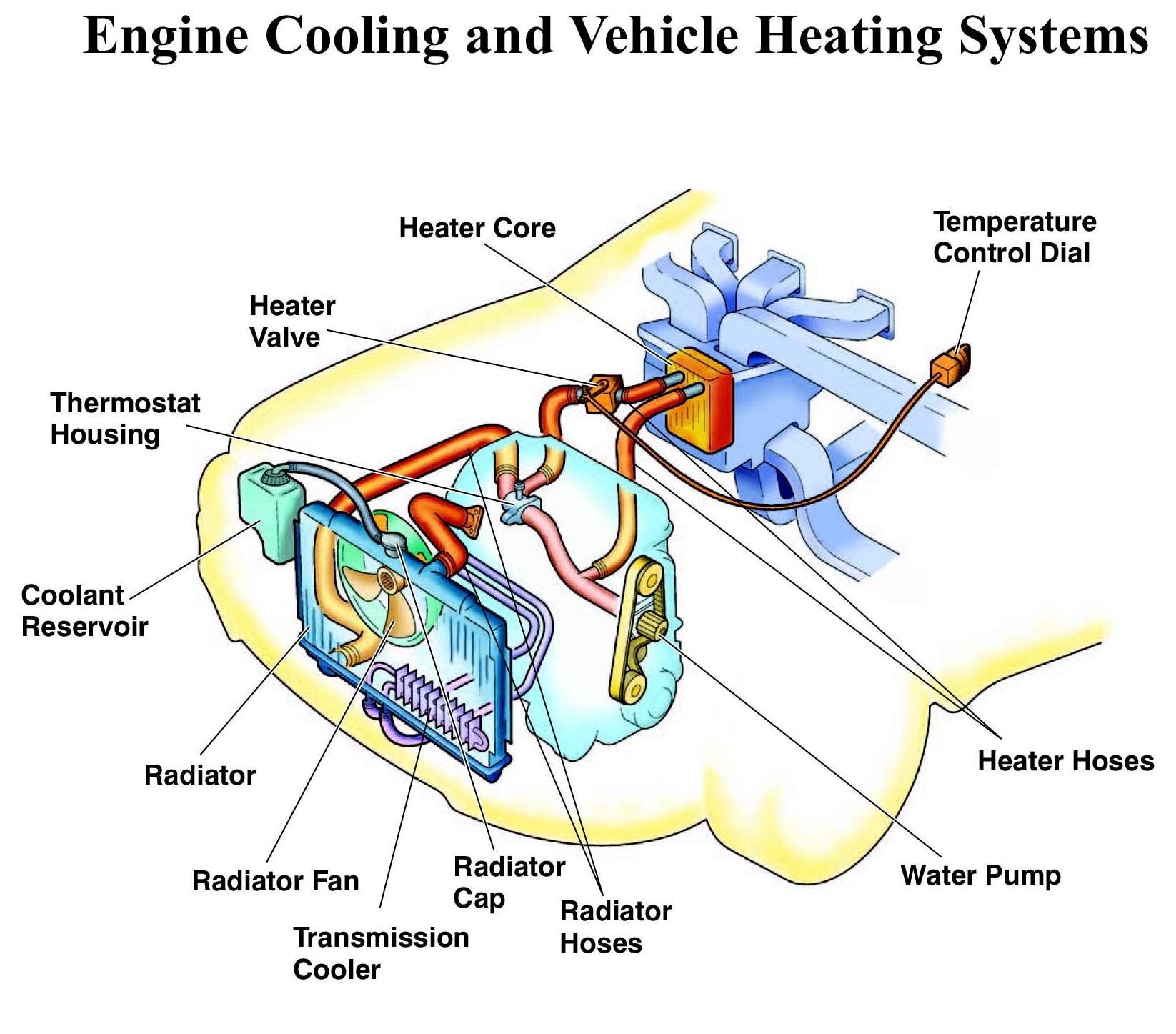 Engine Cooling System