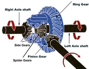 Differential Diagram
