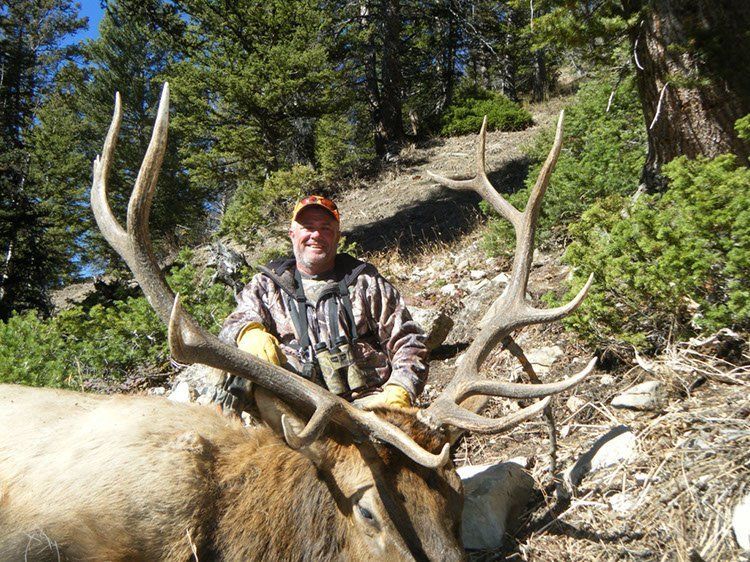 Wyoming Elk Outfitter