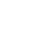 Fully licensed icon