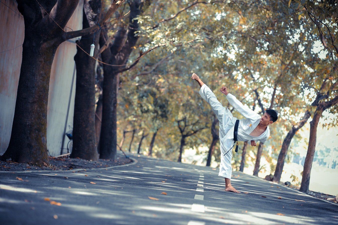 Self defence taekwondo Sydney