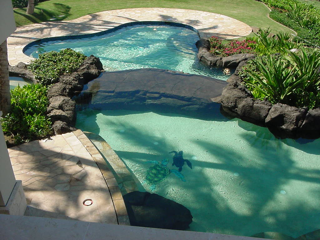 Mini Pool - Oahu HI - Pacific AquaScapes