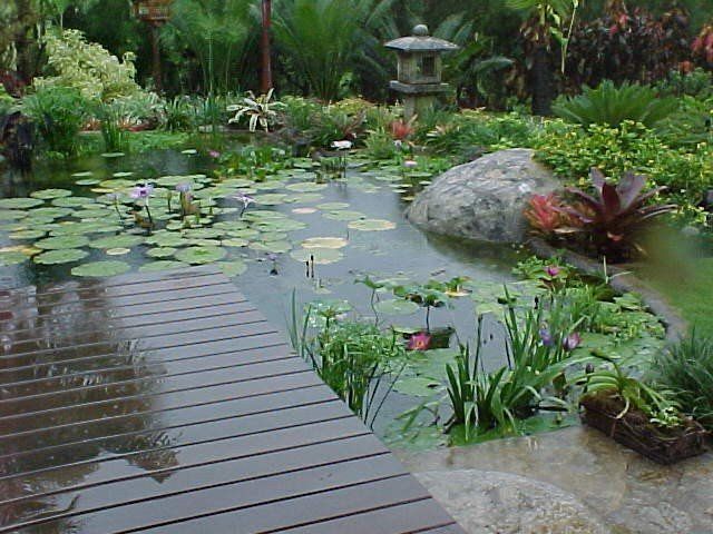 Green Pond - Oahu HI - Pacific AquaScapes
