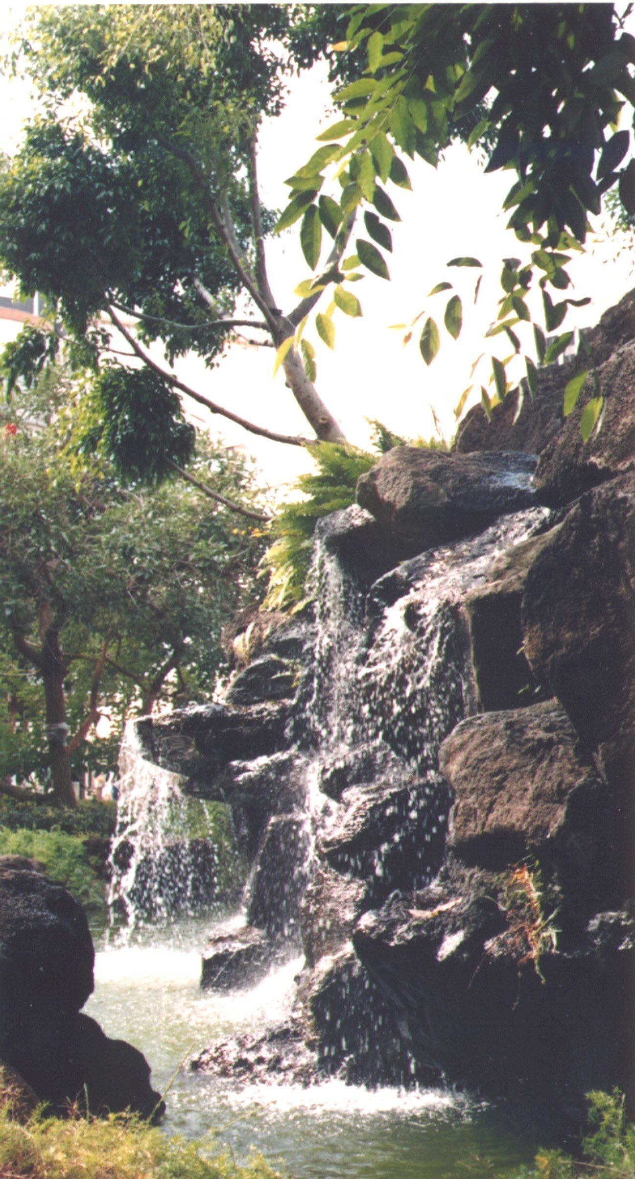 Gateway Plaza - Oahu HI - Pacific AquaScapes
