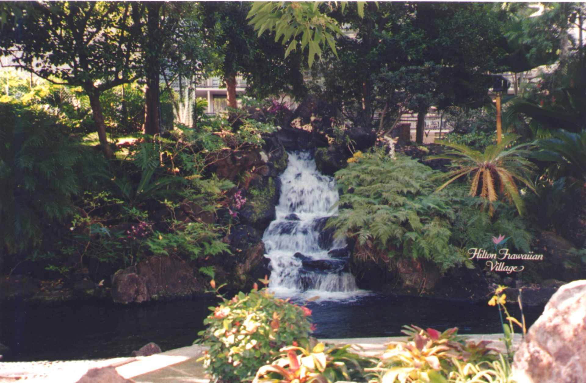 Hilton Hawaiian Village II - Oahu HI - Pacific AquaScapes