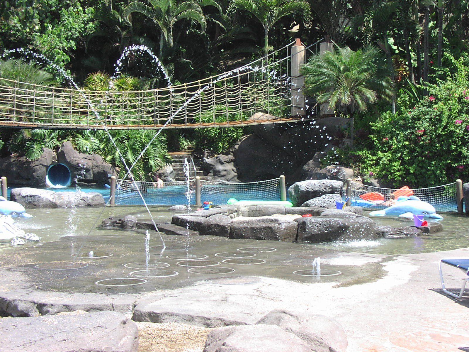 Hyatt Maui Children - Oahu HI - Pacific AquaScapes