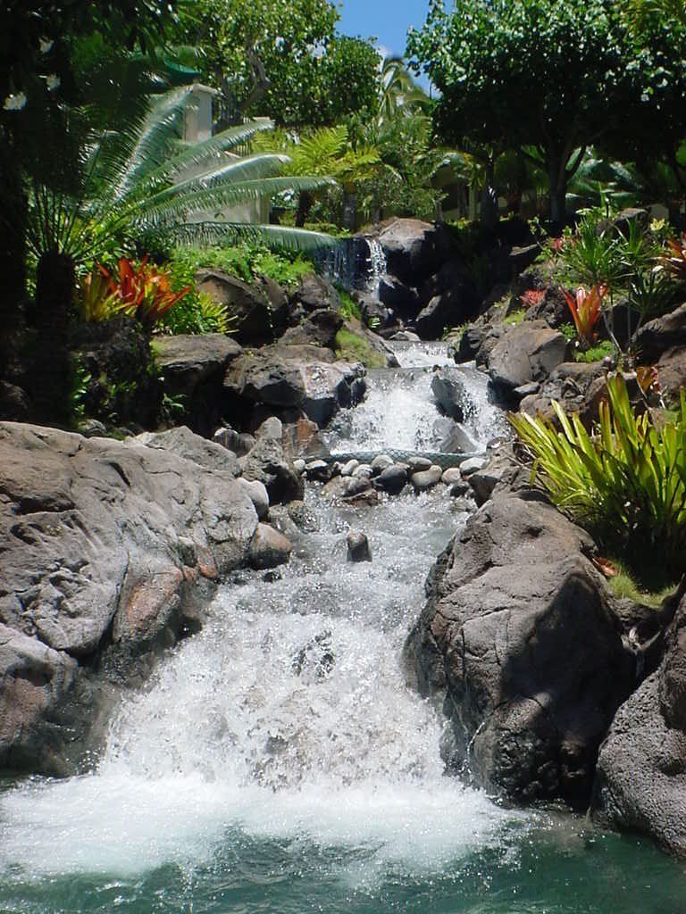 Hyatt Pool - Oahu HI - Pacific AquaScapes