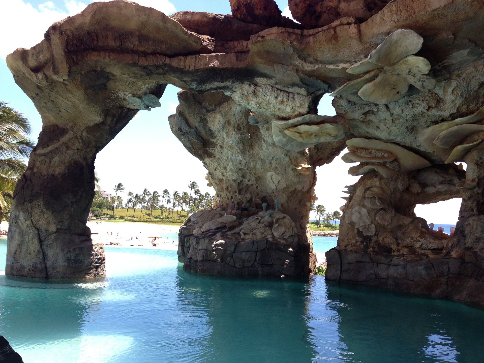 Wrixon Pool View - Oahu HI - Pacific AquaScapes