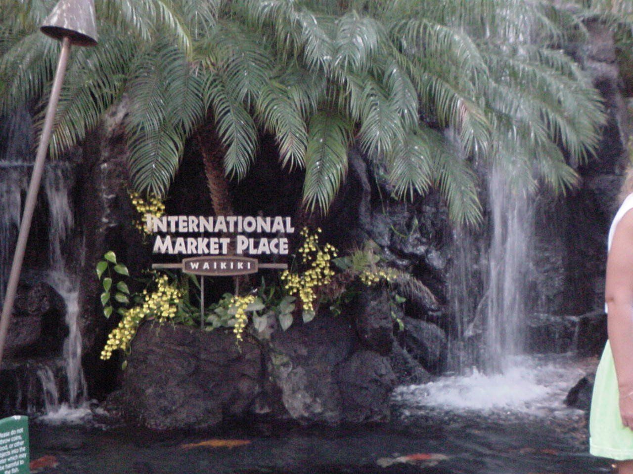 International Market Place - Oahu HI - Pacific AquaScapes