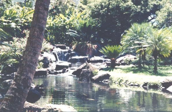 Kolowaka Oahu Pond Area Right Side - Oahu HI - Pacific AquaScapes