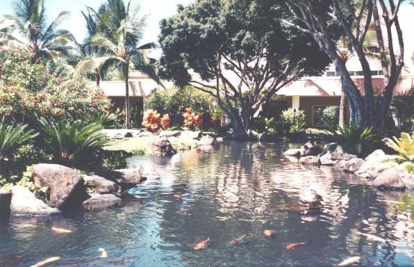 Kolowaka Oahu Pond Area - Oahu HI - Pacific AquaScapes