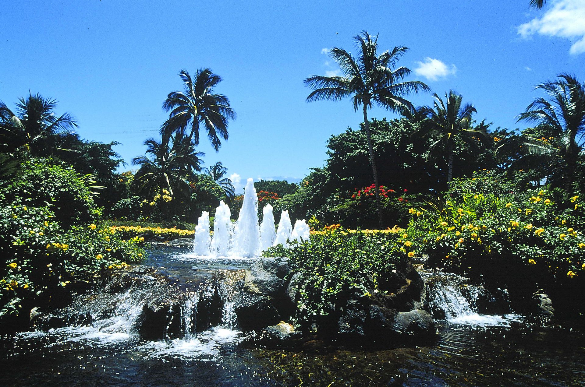 Orchid Entry - Oahu HI - Pacific AquaScapes